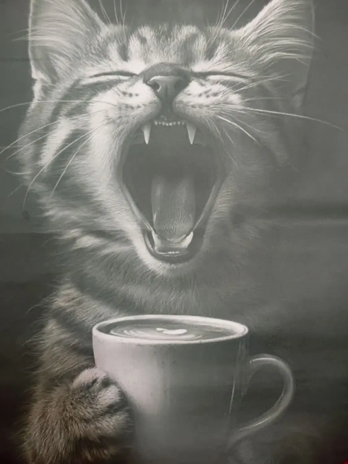 نقاشی سیاه قلم سبک هایپررئال|تابلو، نقاشی، عکس|شیراز, بعثت|دیوار