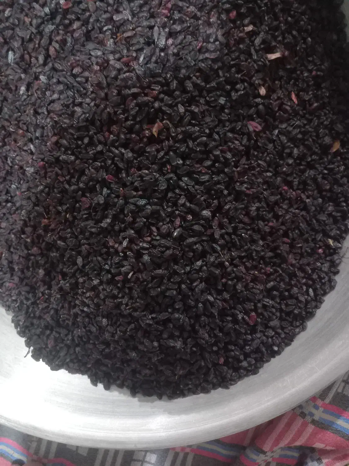 زرشک‌کوهی|عمده‌فروشی|کالپوش, |دیوار