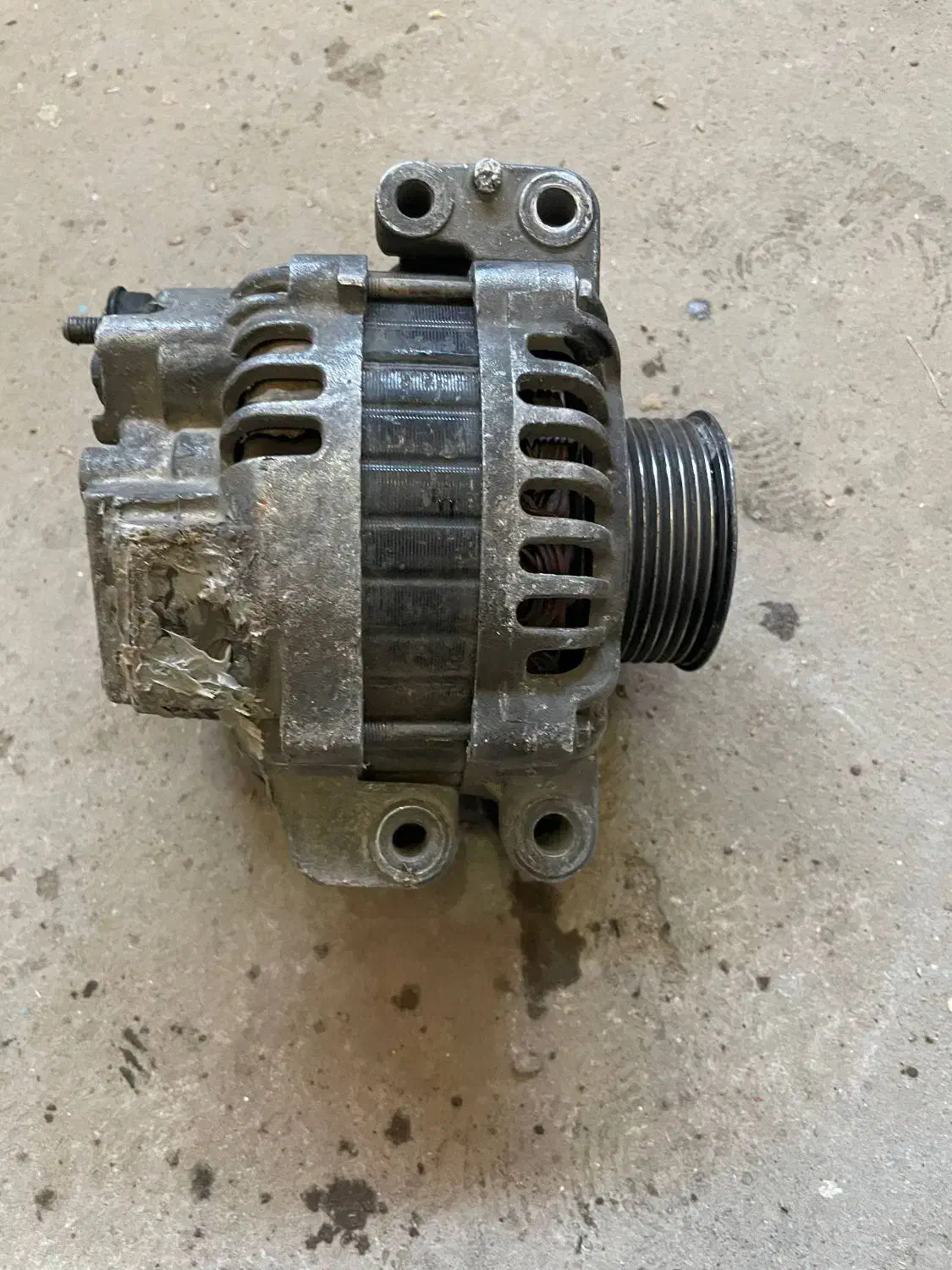 دینام سکانیا/اکسور اتکو|عمدهفروشی|فردوس (خراسان), |دیوار