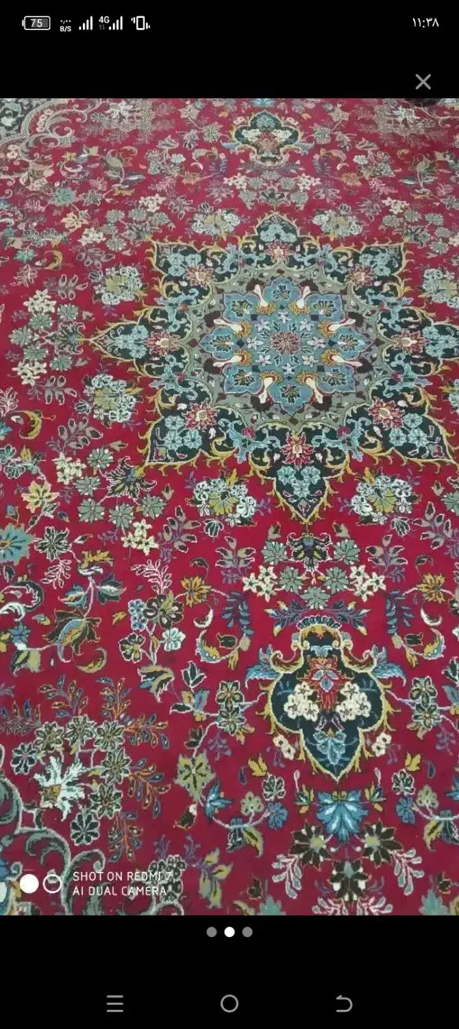 فرش ۱۲متری درحدنوتمیزوشسته شده پرگوشت|فرش|مشهد, قائم|دیوار