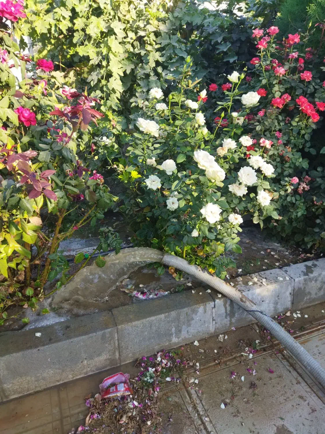 حفاری چاه آب|خدمات پیشه و مهارت|ارومیه, |دیوار