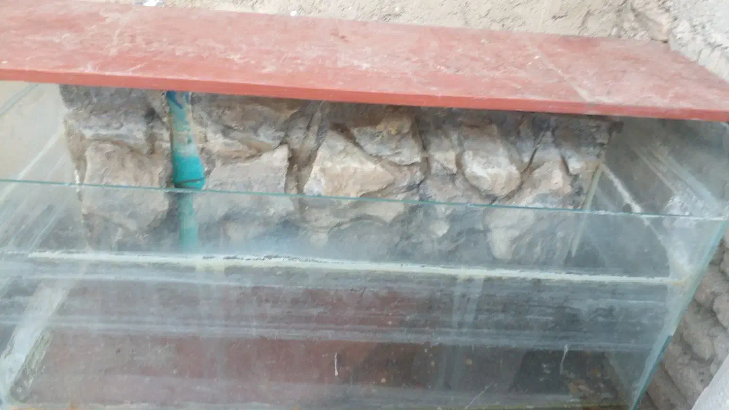 اکفاریوم|ماهی|گرگان, |دیوار