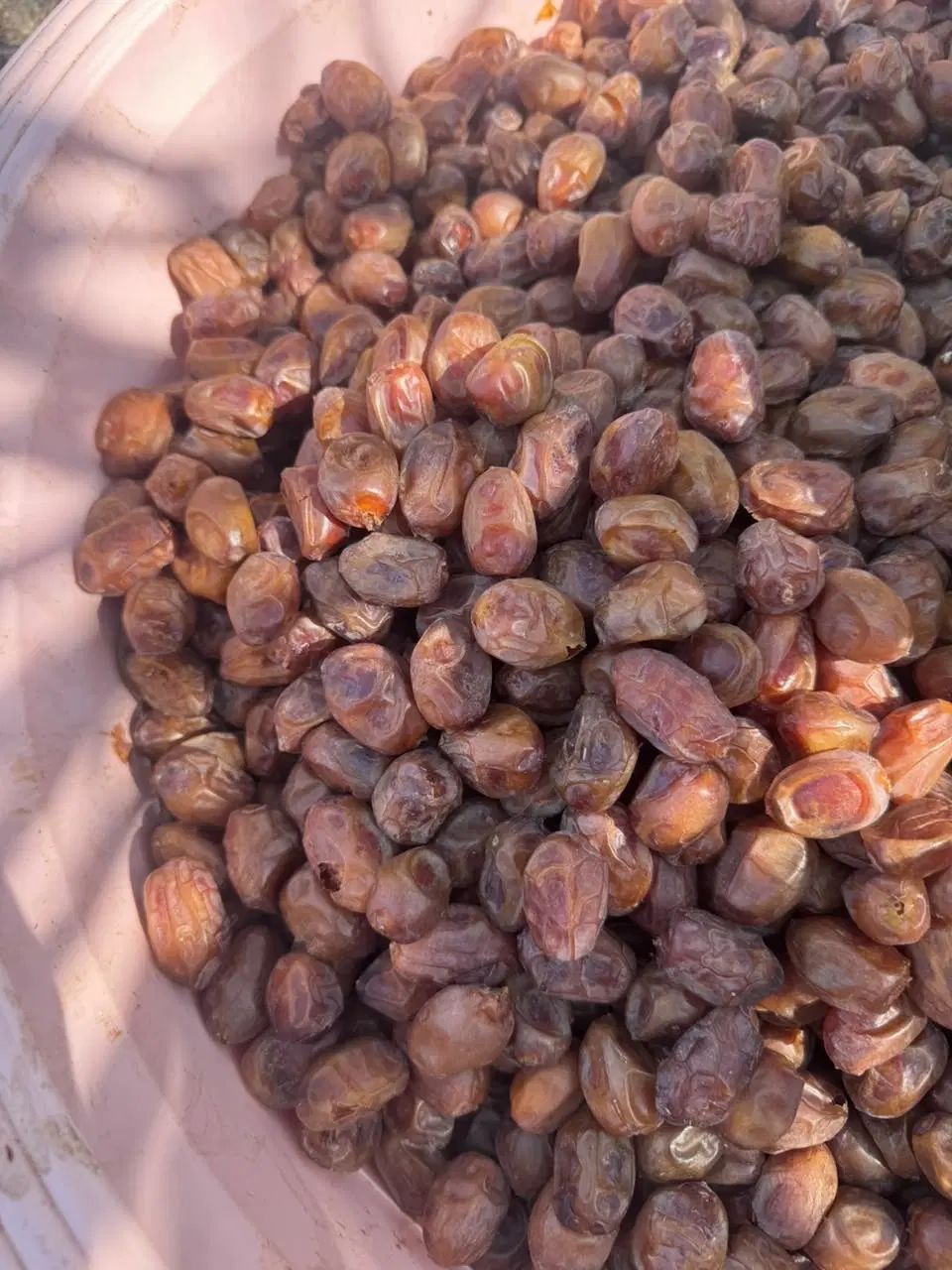 خرما|خوردنی و آشامیدنی|تبریز, |دیوار