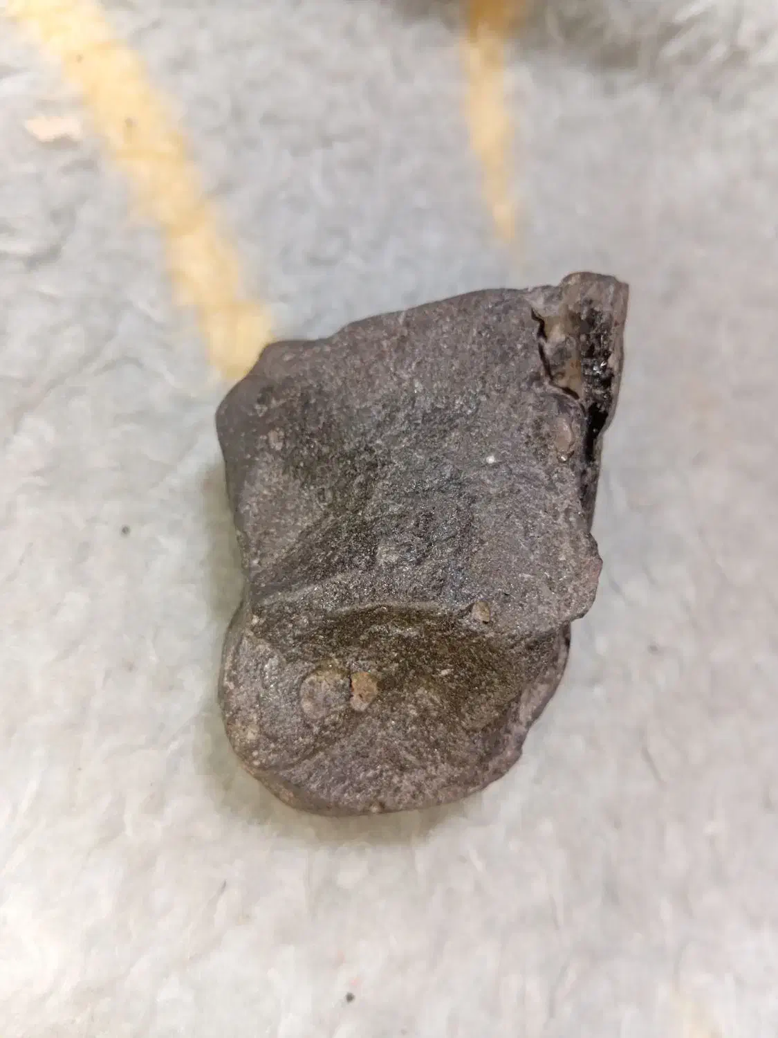 سنگ|جواهرات|شاهین‌شهر, گزبرخوار|دیوار