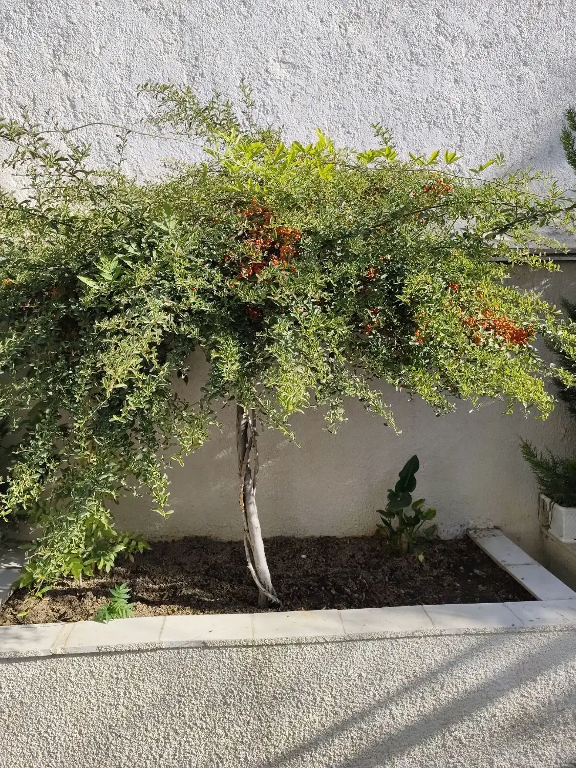 ۱۲۵متر صیاد/هتل پارس|فروش آپارتمان|مشهد, هفت تیر (حافظ)|دیوار