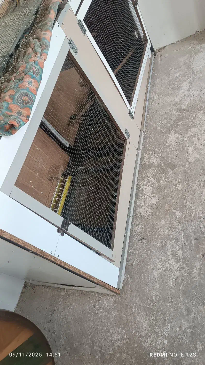 قفس پرنده گان|لوازم جانبی حیوانات|سلماس, |دیوار