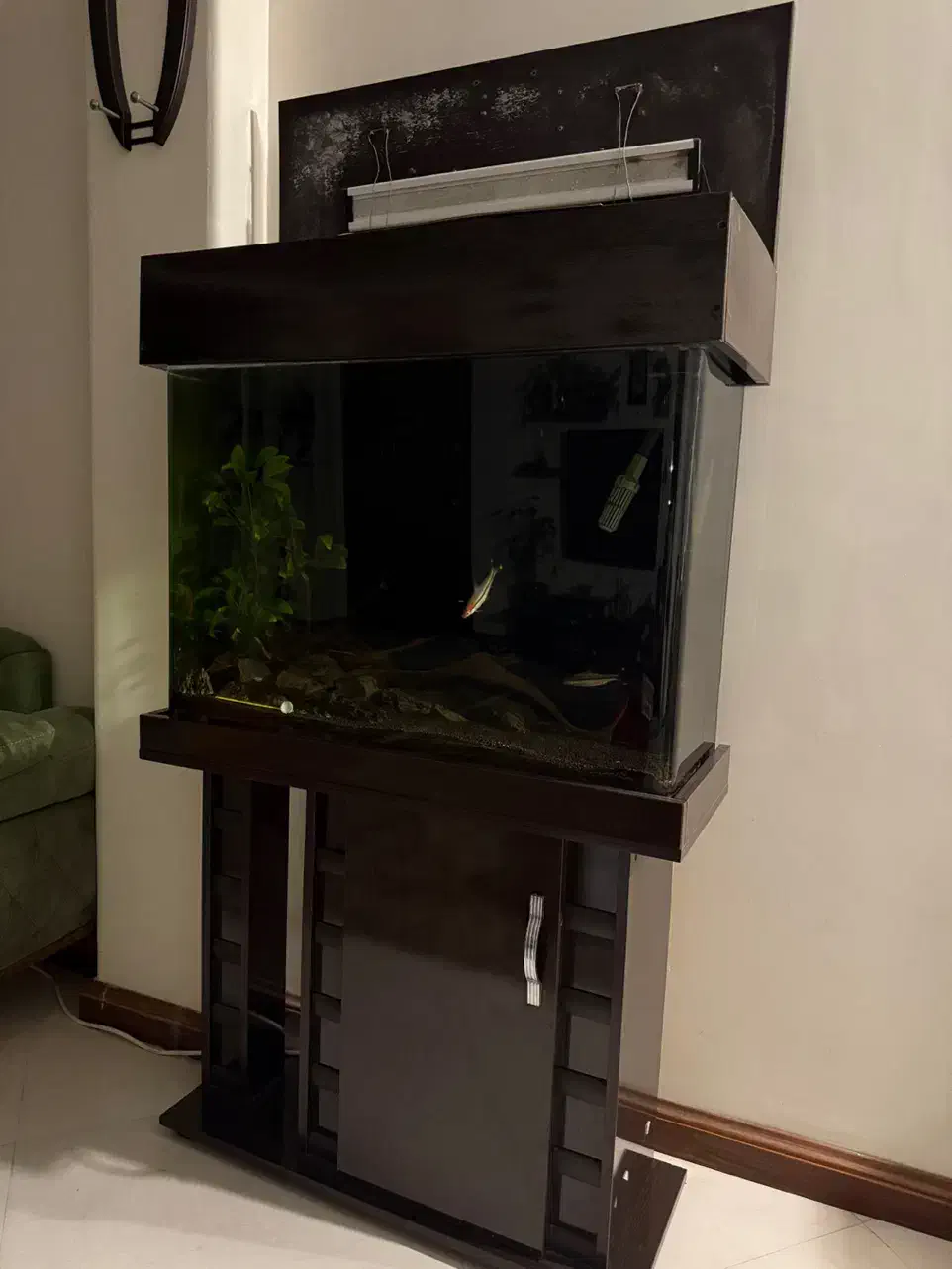 اکواریوم گیاهی|ماهی|تهران, جنت‌آباد مرکزی|دیوار
