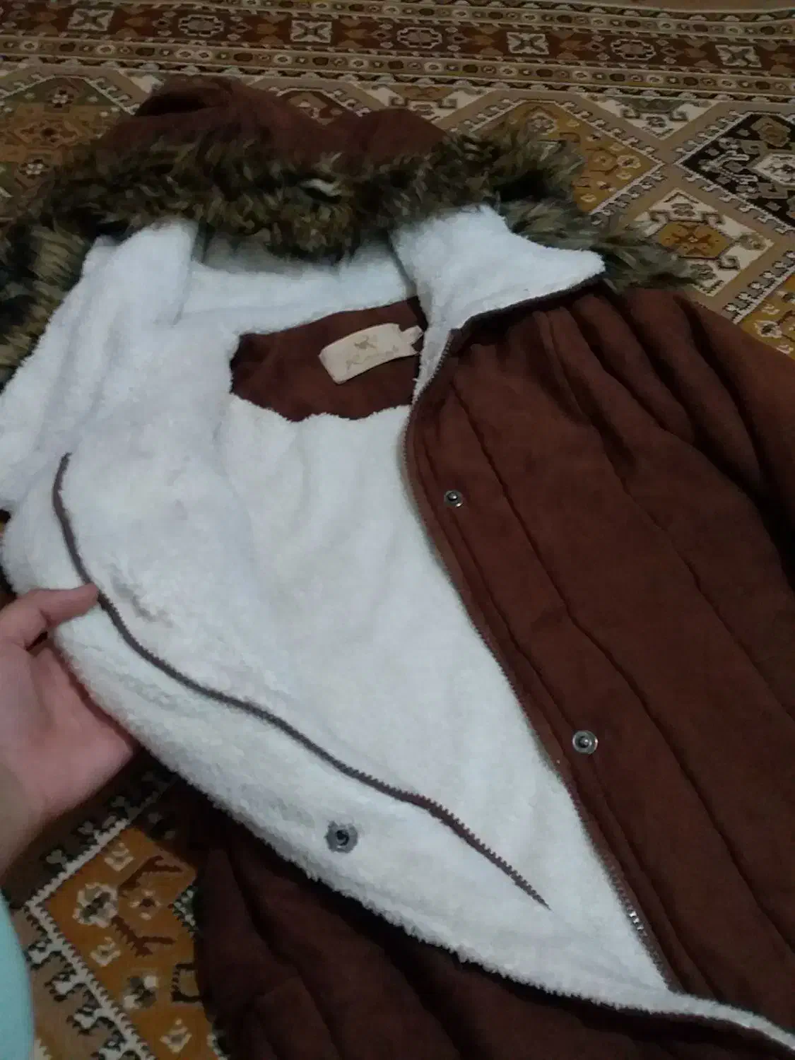 کاپشن سایز ۱ نیم بوت|کیف، کفش، کمربند|نهاوند, |دیوار