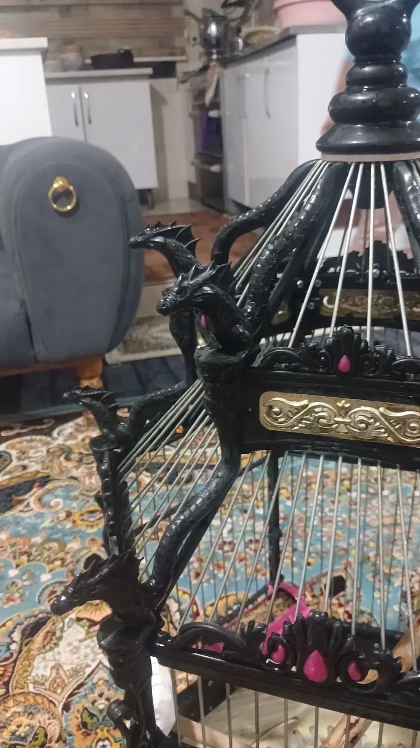 قفس بزرگ عروس هلندی وپرندهای دیگه|لوازم جانبی حیوانات|هشتگرد, قاسم آباد بزرگ|دیوار