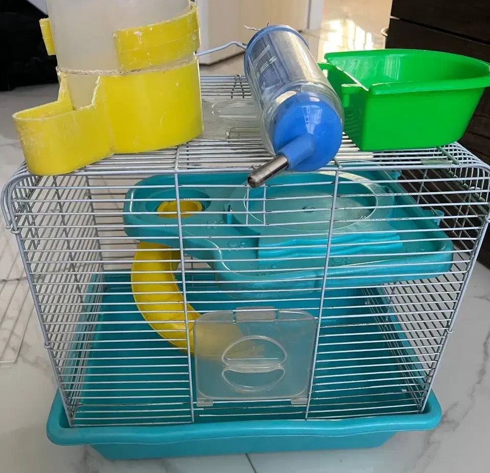 قفس همستر|لوازم جانبی حیوانات|مشهد, امیریه|دیوار