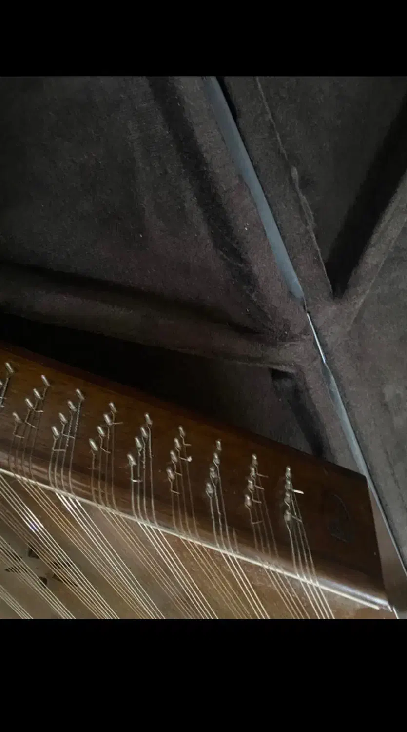 سنتور ۳ مهر حرفه ای|سازهای سنتی|بروجن, |دیوار