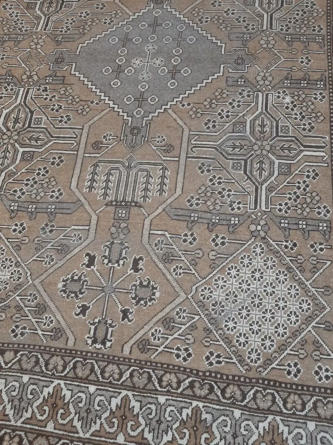 فرش دستباف ۶ متری|فرش|رشت, سیا اسطلخ|دیوار