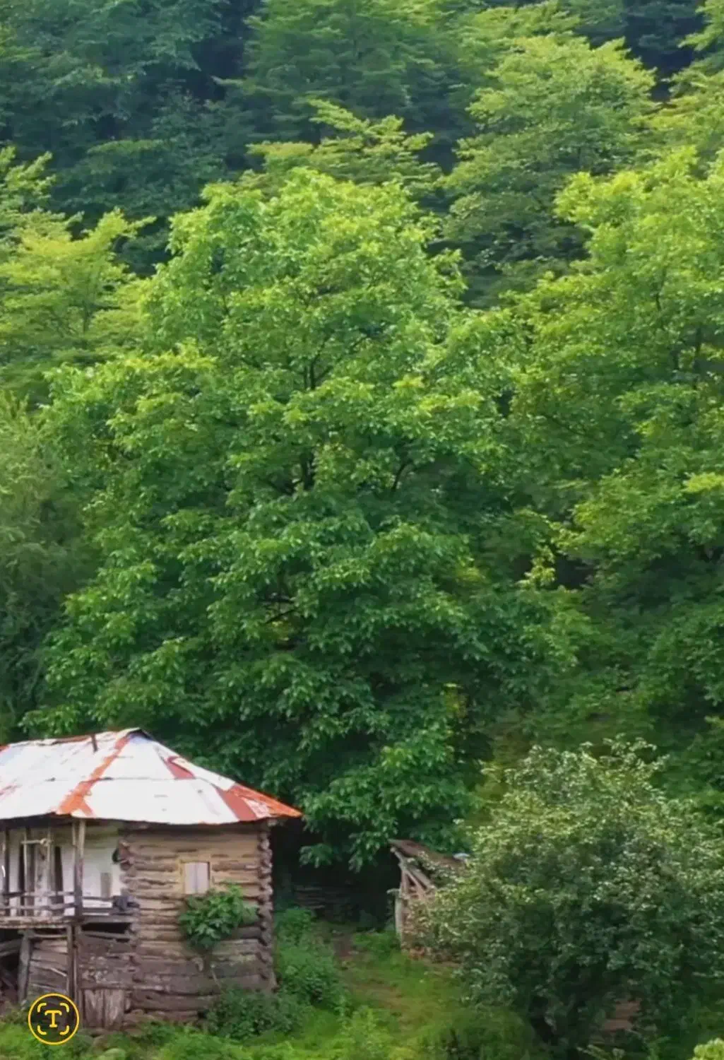 راهنمایی گردش اخر هفته ها|فعالیت داوطلبانه|قم, هنرستان|دیوار