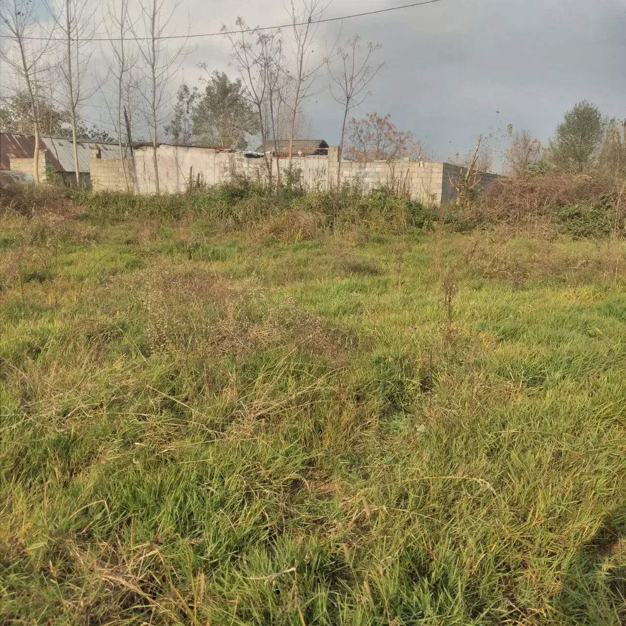 زمین باغی|فروش زمین و ملک کلنگی|رشت, جانبازان|دیوار