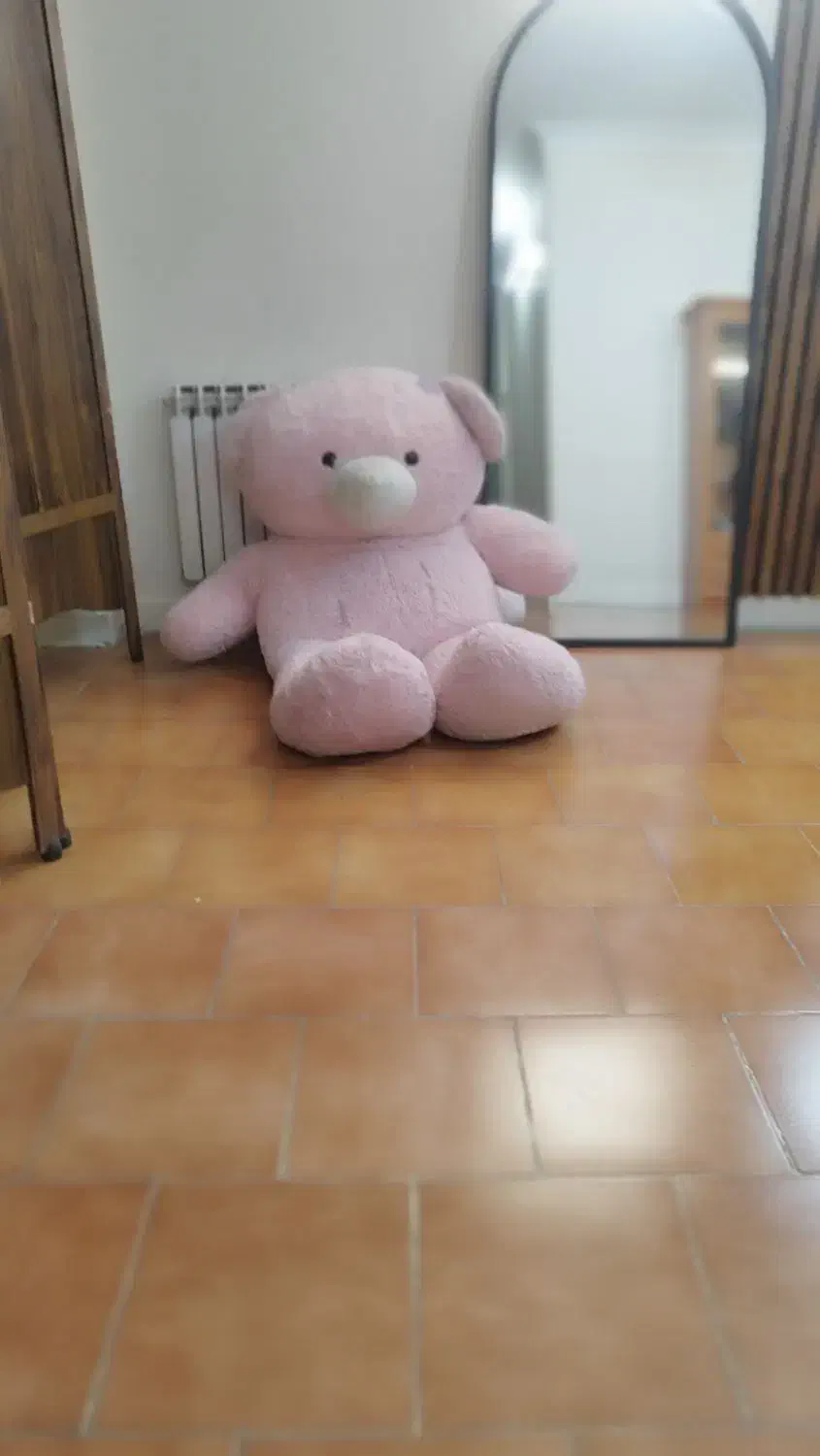 خرس تمیز و سالم|اسباب‌بازی بچه|تهران, فردوس|دیوار