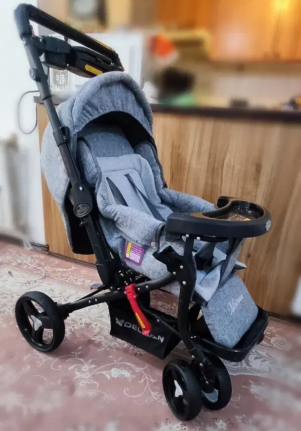 کالسکه دلیجان مدل بنیتا|کالسکه و لوازم جانبی|پرند, فاز ۵|دیوار