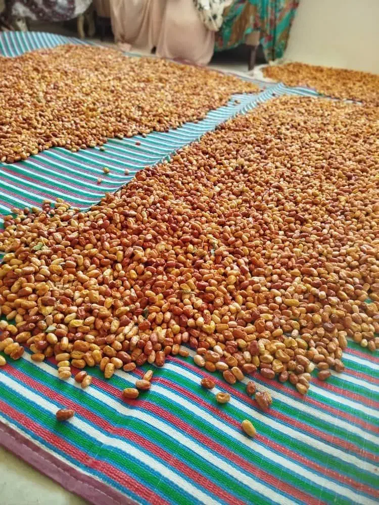 فروش سنجد تازه|خوردنی و آشامیدنی|تهران, نعمت‌آباد|دیوار