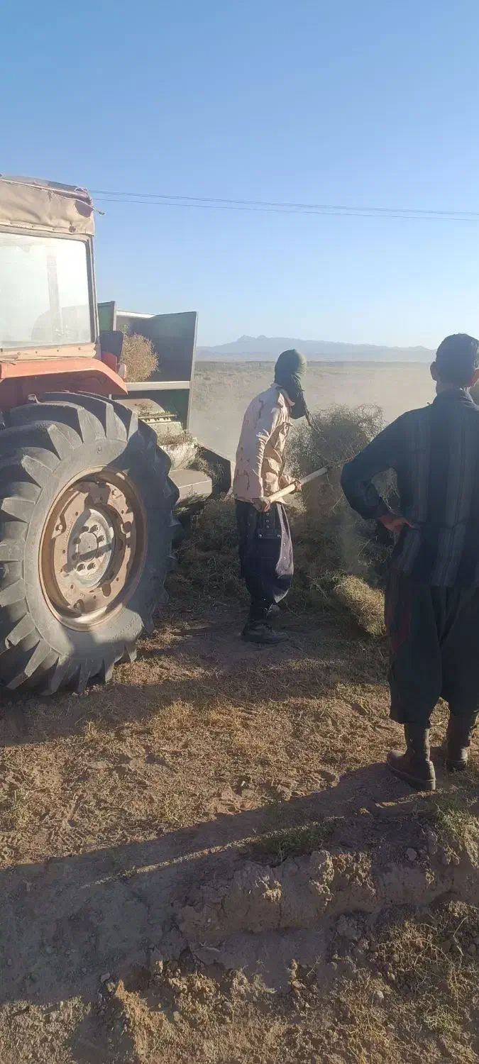 خار کوبیده|لوازم جانبی حیوانات|سربیشه, |دیوار