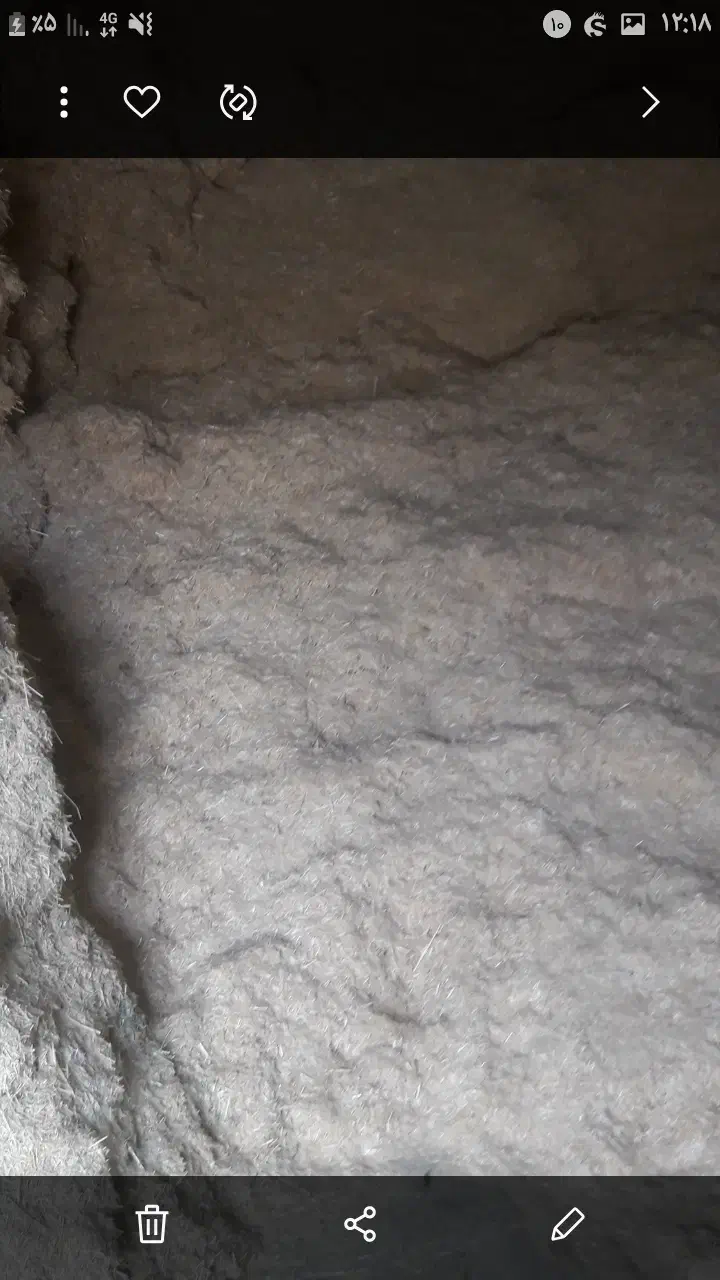 کاه|لوازم جانبی حیوانات|خرمآباد, |دیوار