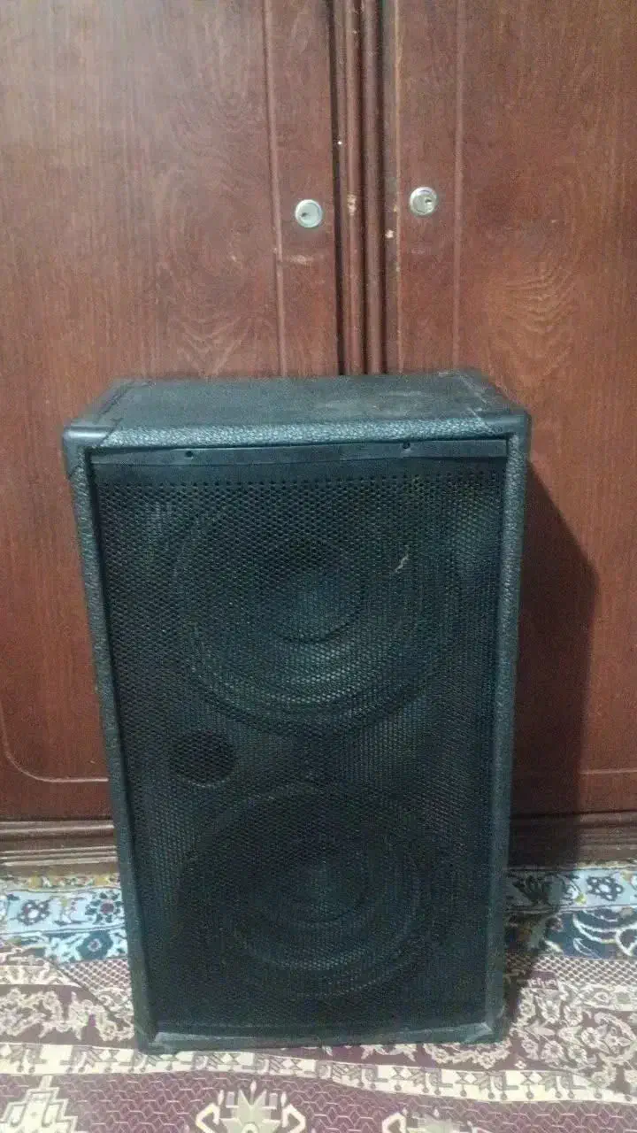 دو عدد میکروفون|سیستم صوتی خانگی|سبزوار, جوادیه غربی|دیوار