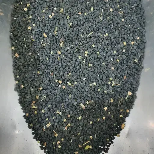 بذر پیاز|عمدهفروشی|دینور, |دیوار