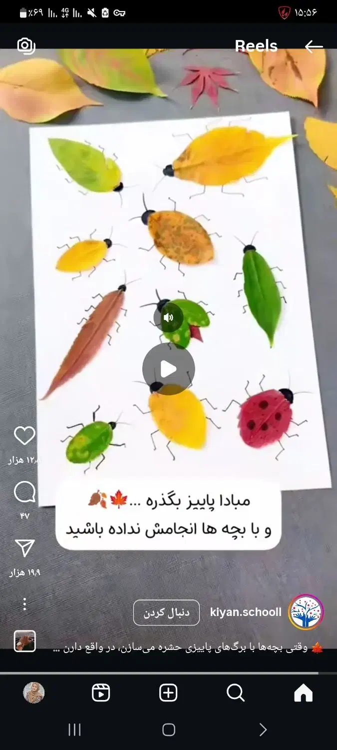 وسایل شخصی|اسباب‌‌بازی|تربت جام, میان جام|دیوار