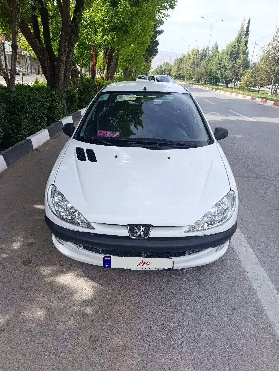 206tu3|خودرو سواری و وانت|شیراز, رکن‌آباد|دیوار