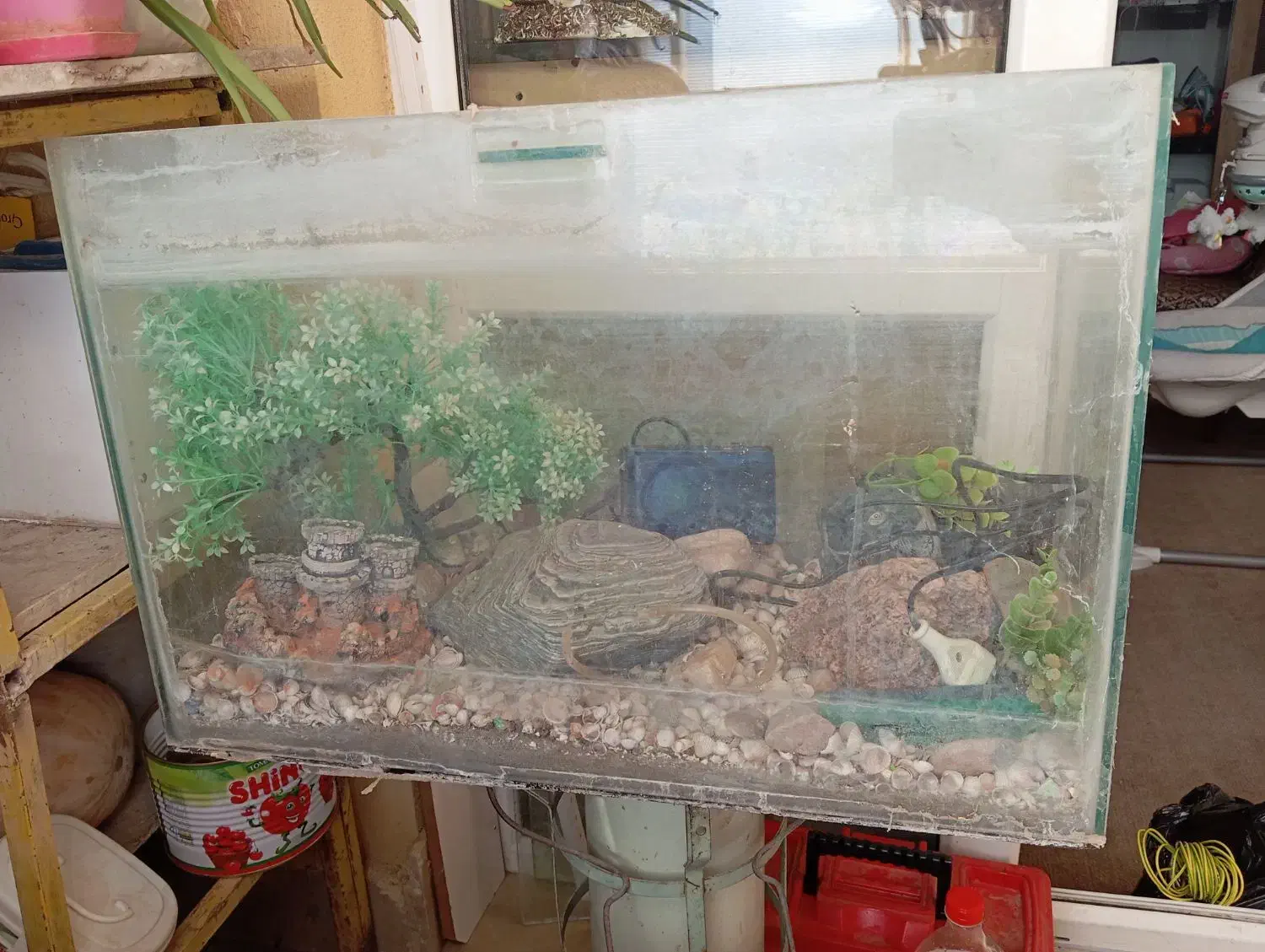 آکواریوم ماهی شیشهای|ماهی|گلبهار, شهر جدید گلبهار|دیوار