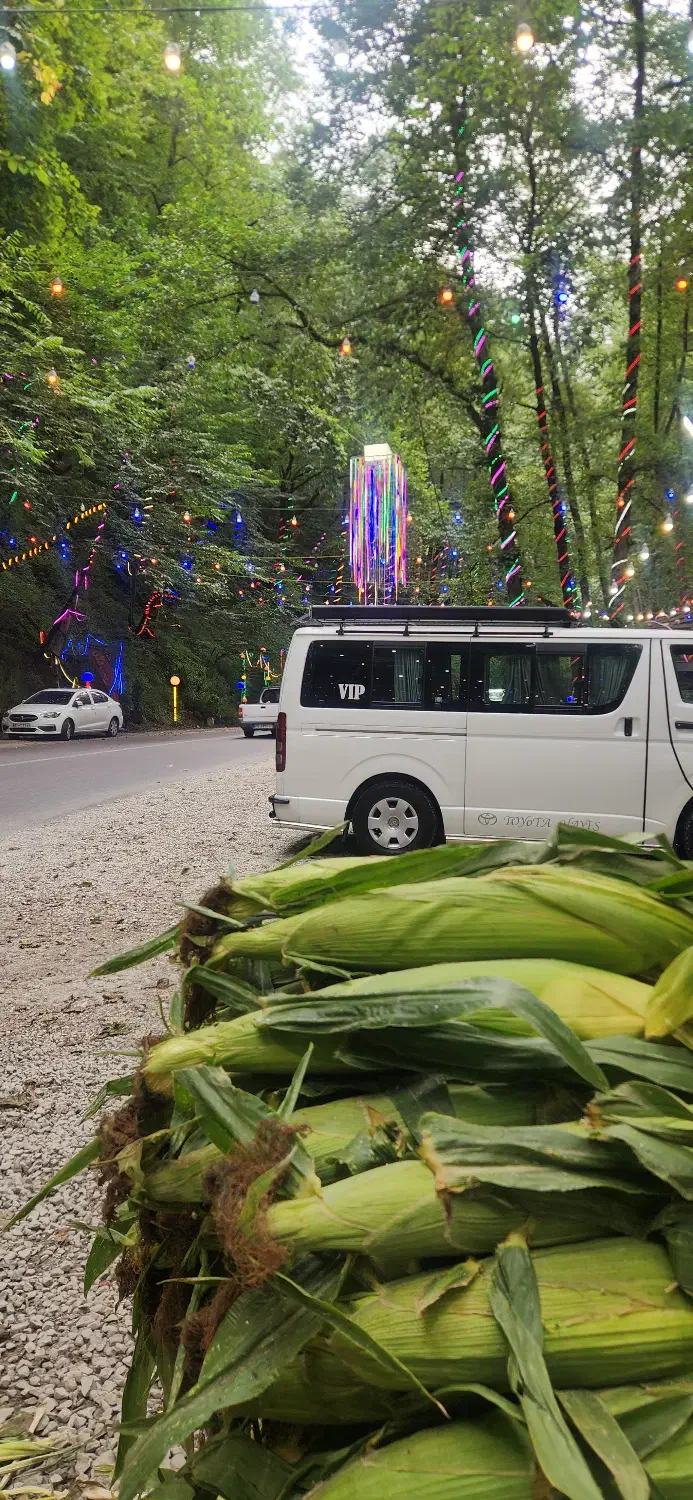 سرویس دربستی تویوتا هایس ظرفیت ۸ نفر|خدمات حمل و نقل|قم, هنرستان|دیوار