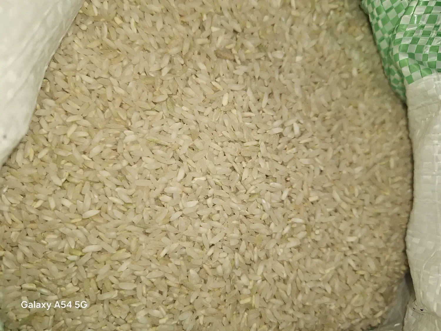 برنج چمپا دون دونی  چیتاب  کیلویی ۲۸۰|خوردنی و آشامیدنی|یاسوج, |دیوار