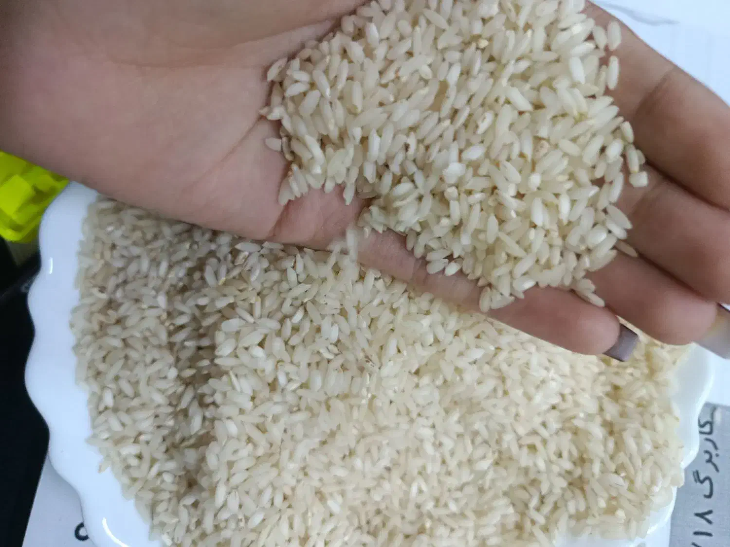 برنج درجه یک|خوردنی و آشامیدنی|شوشتر, |دیوار