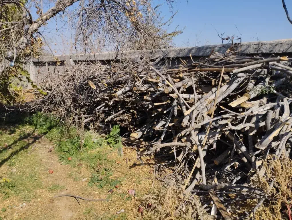 هیزم|بخاری، هیتر، شومینه|شیراز, میرزاکوچک خان|دیوار