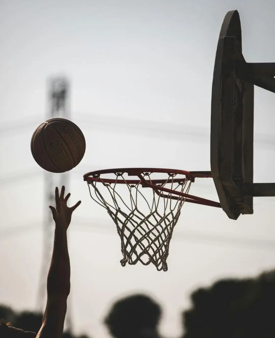 آموزش بسکتبال|خدمات آموزشی|شیروان (خراسان), |دیوار