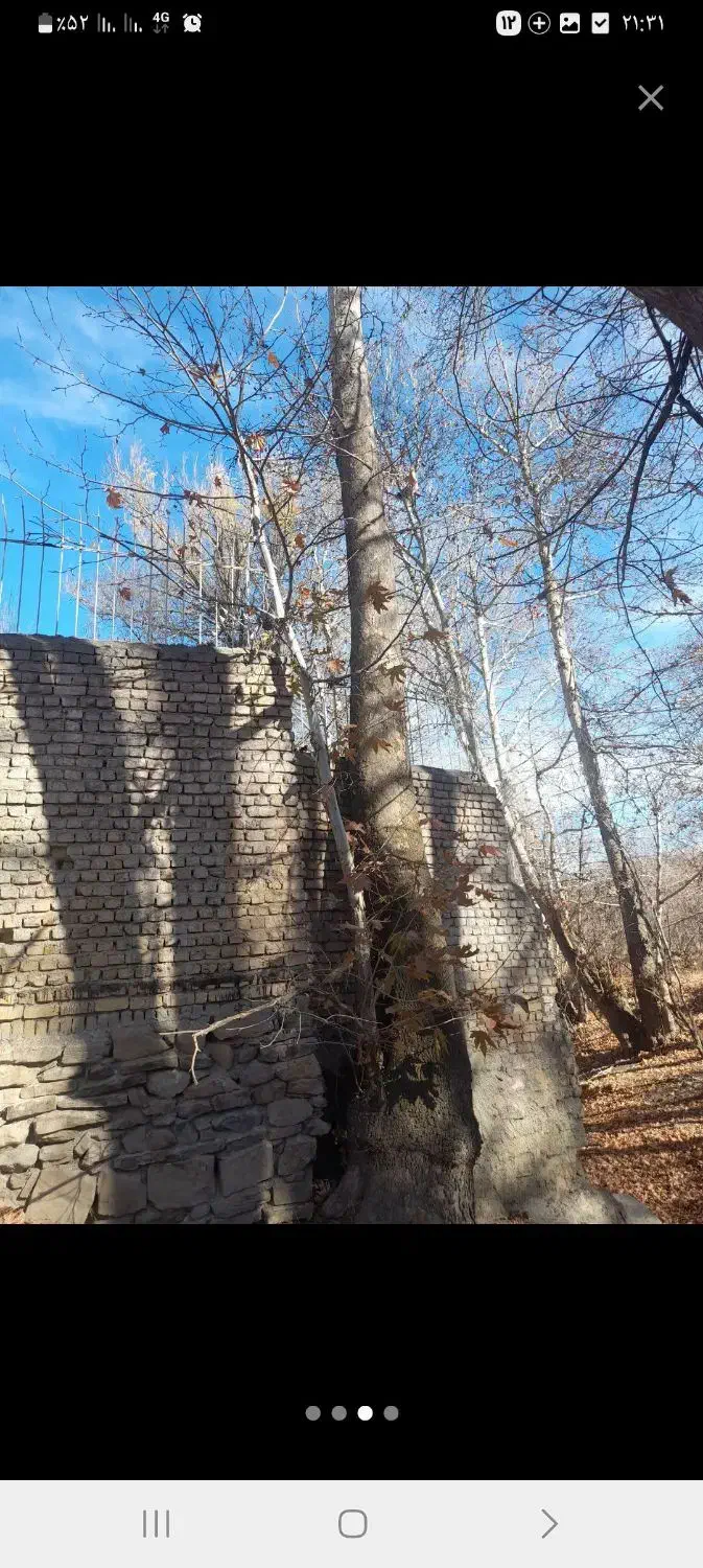 خریدفروش چوب قطع وبرش درخت هرس کاری|خدمات باغبانی و درختکاری|مشهد, توس (بلوار توس)|دیوار