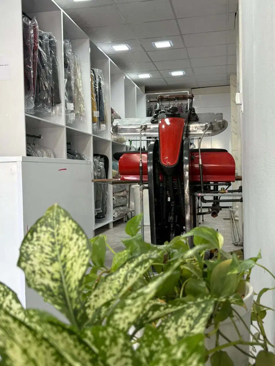 خشکشویی لیان پیک رایگان|خدمات نظافت|بوشهر, |دیوار