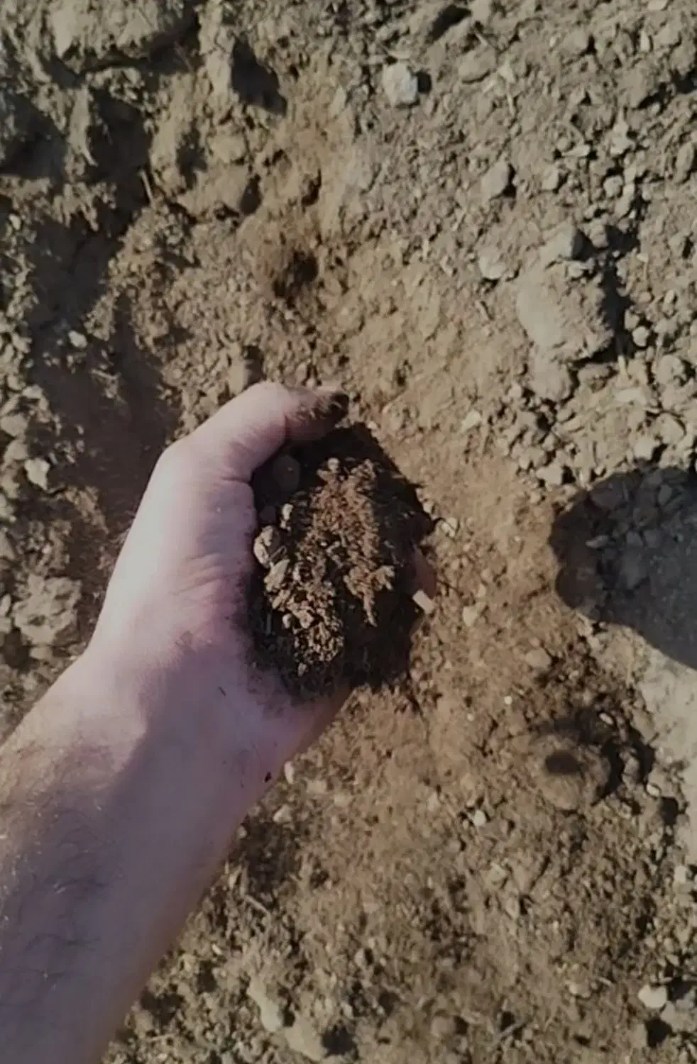 کود دامی پوسیده، چالکود، پلیت مرغی، هیومیک گرانول|خدمات باغبانی و درختکاری|شهریار, شهریار|دیوار