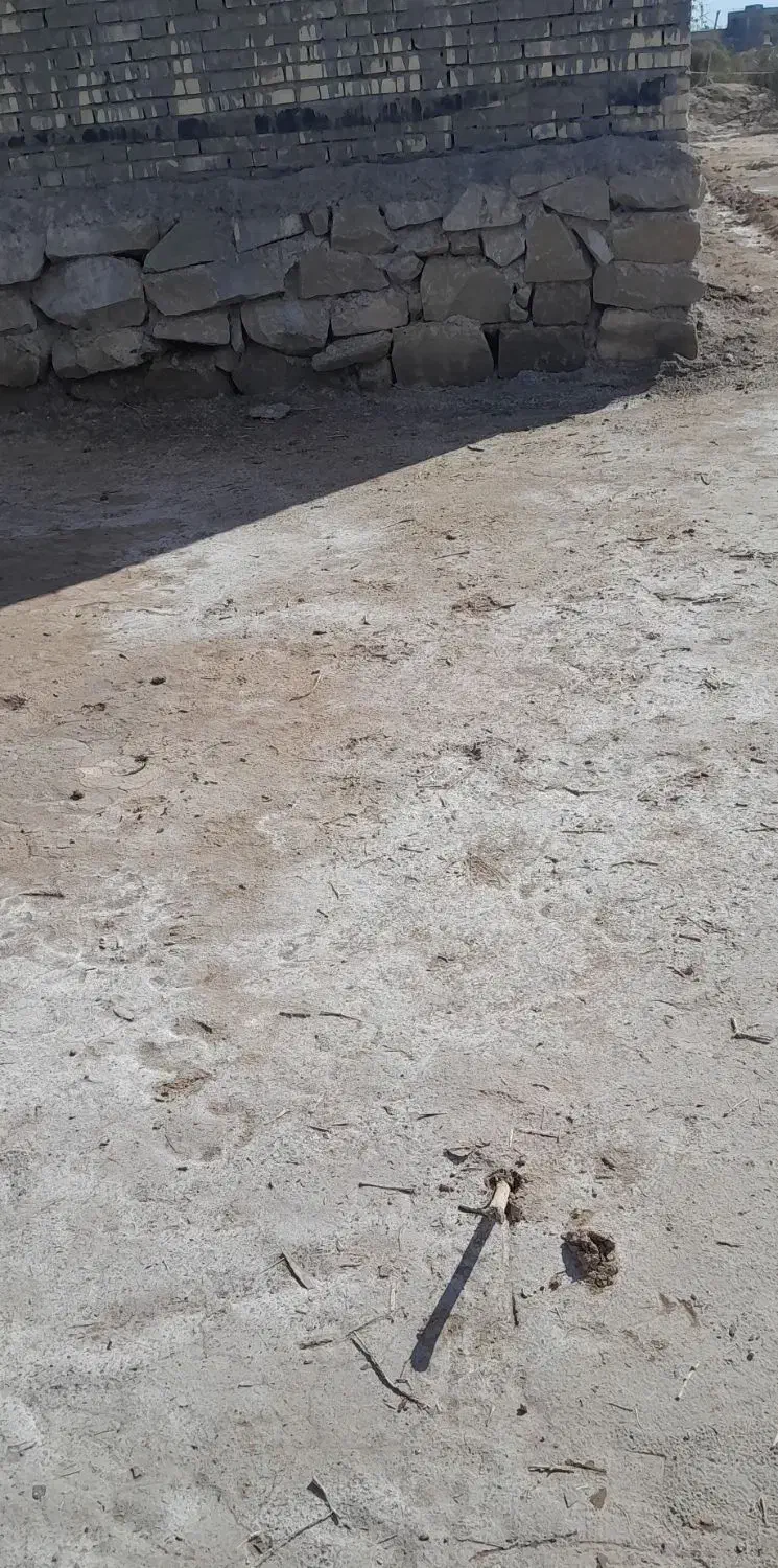 زمین در کوی انقلاب|فروش زمین و ملک کلنگی|حمیدیه, |دیوار