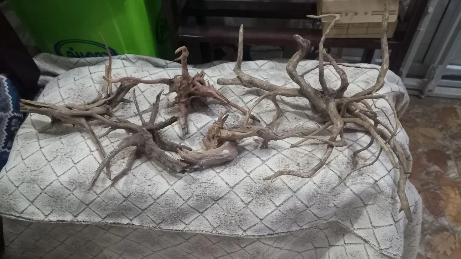 چوب آبنوس اصلی|ماهی|اسلامشهر, زرافشان|دیوار