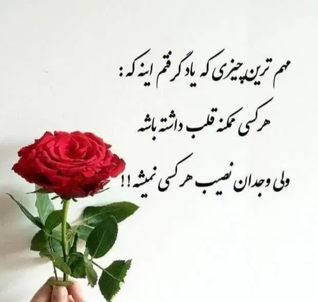 پرستار سالمند شبانه روزی وسرایداری|استخدام سرایداری و نظافت|اردکان, |دیوار