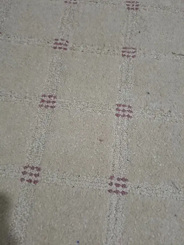 موکت  فروش فوری|موکت|تاکستان, |دیوار