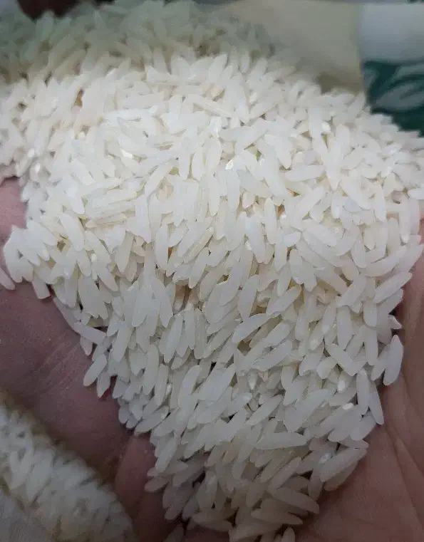 برنج هاشمی خالص و عطری|خوردنی و آشامیدنی|قم, ارم|دیوار