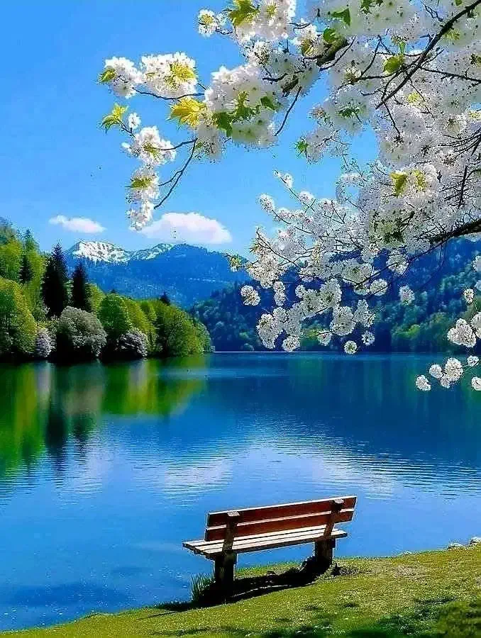 طبیعت‌گردی|فعالیت داوطلبانه|تهران, حکیمیه|دیوار