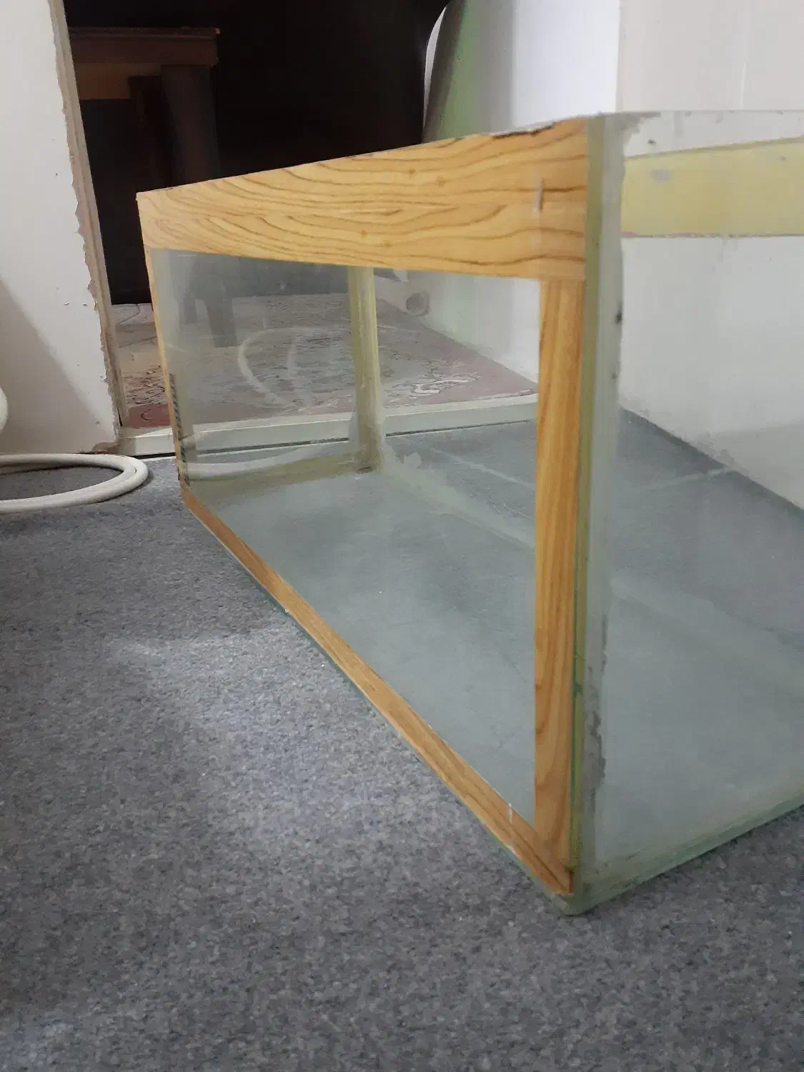 اکواریم|ماهی|بجنورد, |دیوار