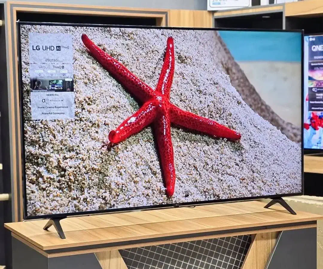 بانه ال ای دی|تلویزیون و پروژکتور|بانه, |دیوار