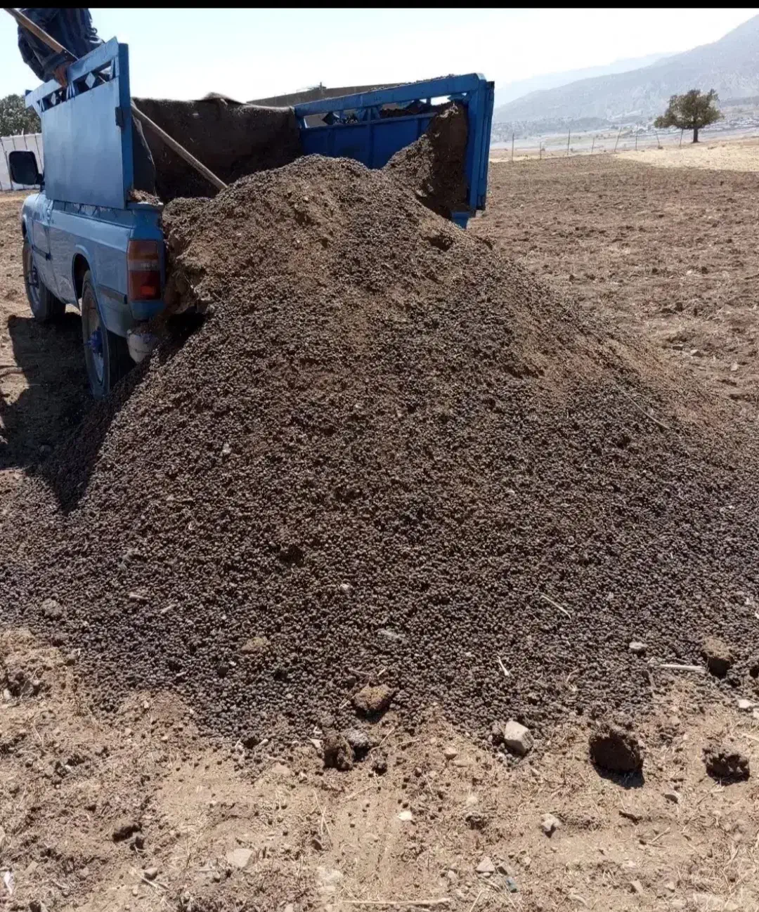 کود حیوانی پشگل|خدمات باغبانی و درختکاری|کوهدشت, |دیوار