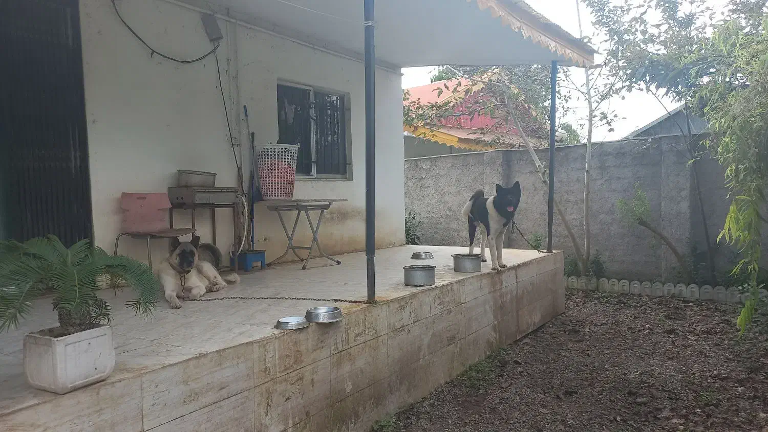 جاده انزلی.باغ پرندگان|فروش خانه و ویلا|رشت, حومه رشت|دیوار