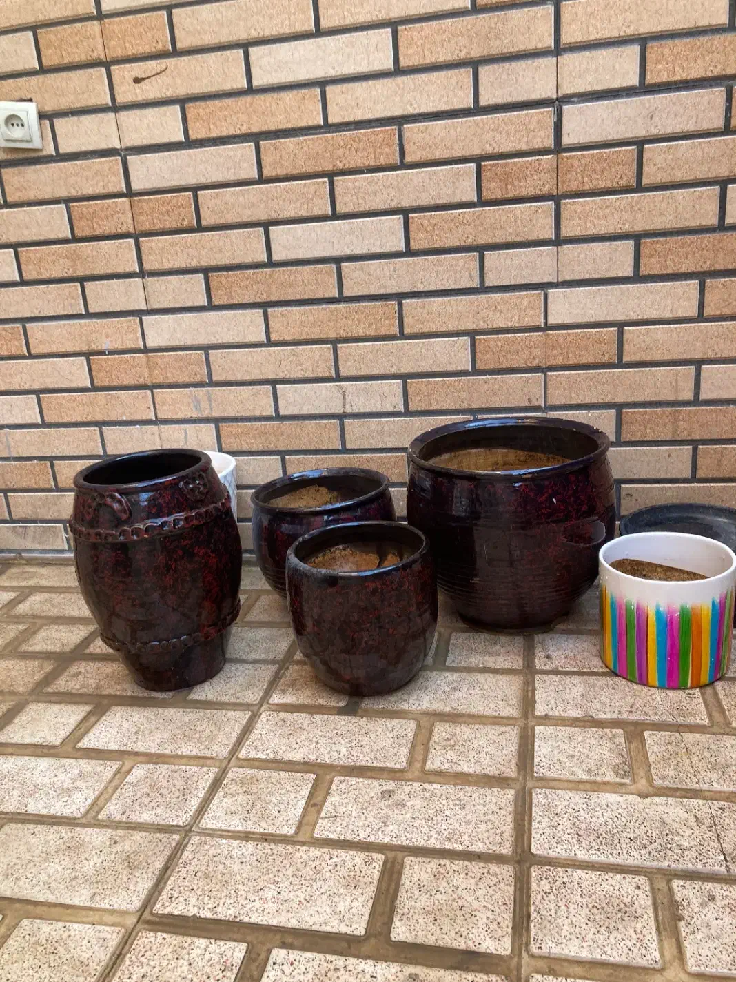 ۵عدد گلدان سایز بزرگ|گل و گیاه طبیعی|پاکدشت, حصار امیر|دیوار