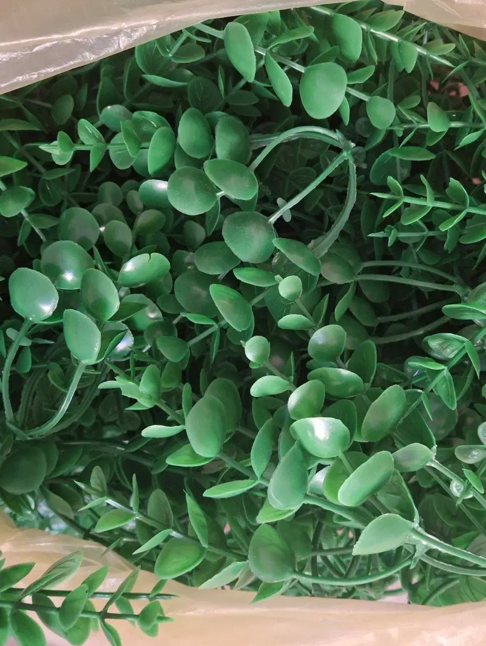 برگ مصنوعی شمشاد|گل مصنوعی|تنکابن, |دیوار