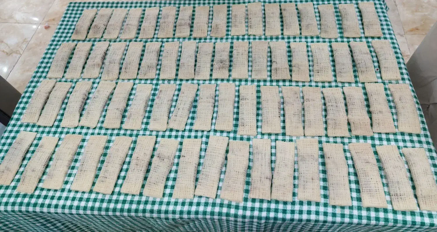 رشته خشکارخانگی پر مغز|خوردنی و آشامیدنی|رشت, باهنر|دیوار