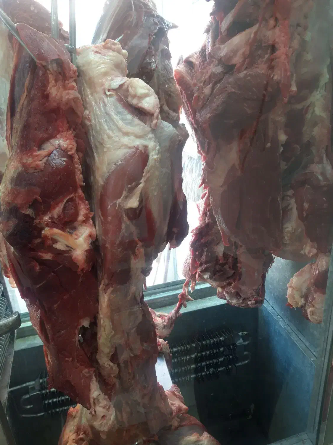 گوشت ران گوساله|خوردنی و آشامیدنی|اصفهان, جاوان|دیوار